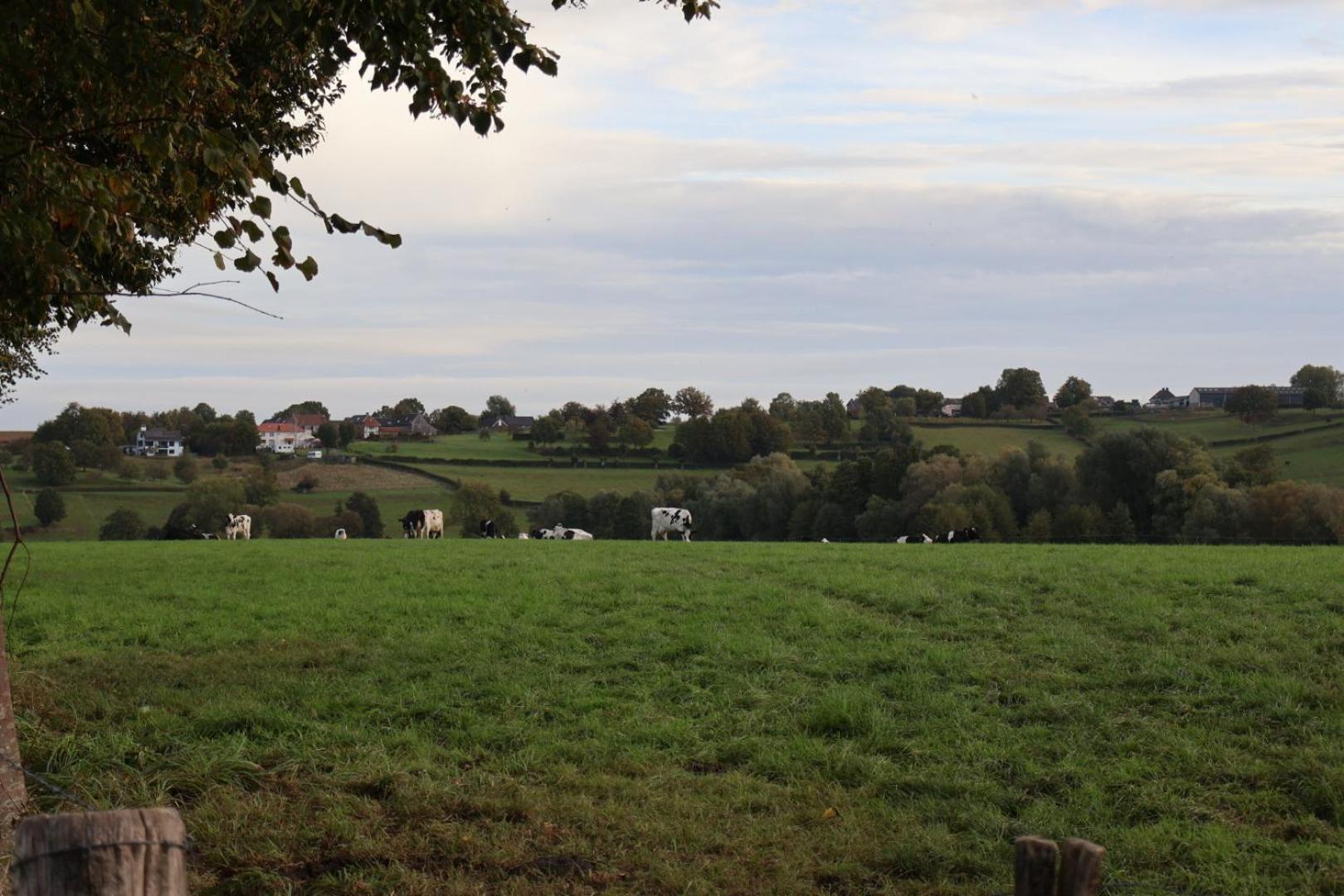 Puur Mechelen Villa Exteriör bild